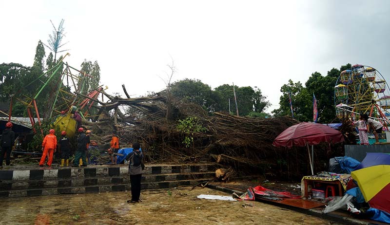 Pohon Beringin Besar Tumbang Timpa Wahana Permainan di Sleman - Bagian 1
