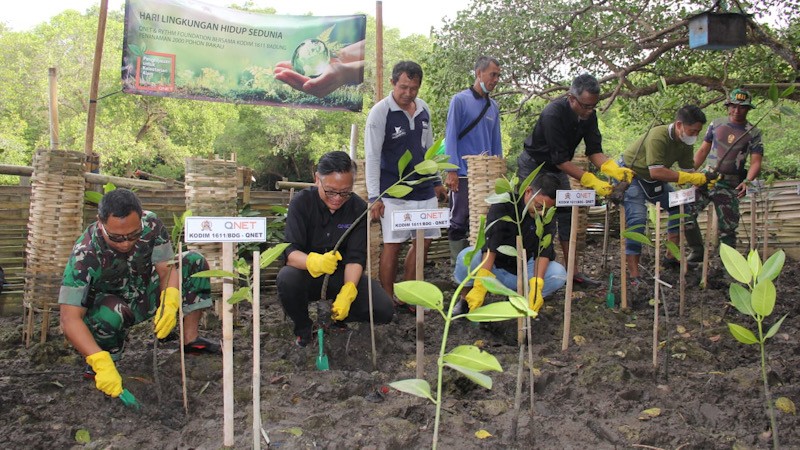 QNET dan Kodim 1611 Badung Tanam 2.000 Bakau di Bali - Bagian 3