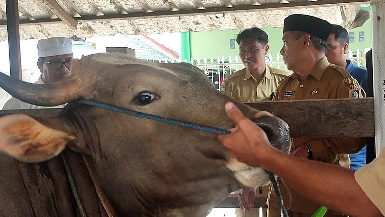 Menyebar di 18 Provinsi, Hewan Terjangkit PMK Tembus 150.630 Ekor