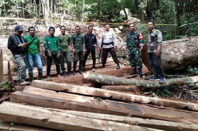 Respons Laporan Masyarakat,  Patroli Gabungan Temukan Pembalakan Liar di Sumbawa