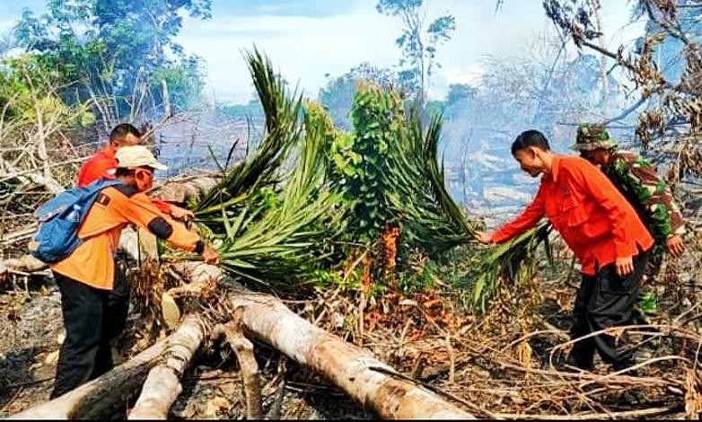 7 Hektare Kebun Karet di Riau Terbakar, Pemadaman dengan Ranting Pohon