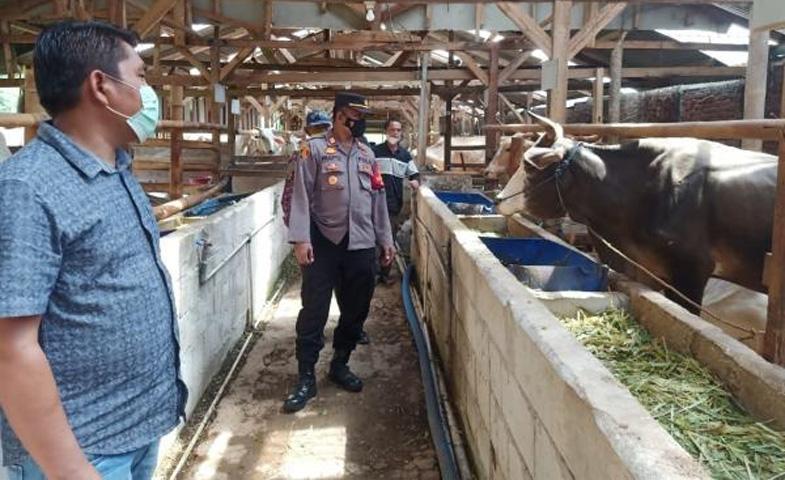  Wabah PMK di Brebes Mengganas, 3 Sapi Terpaksa Disembelih