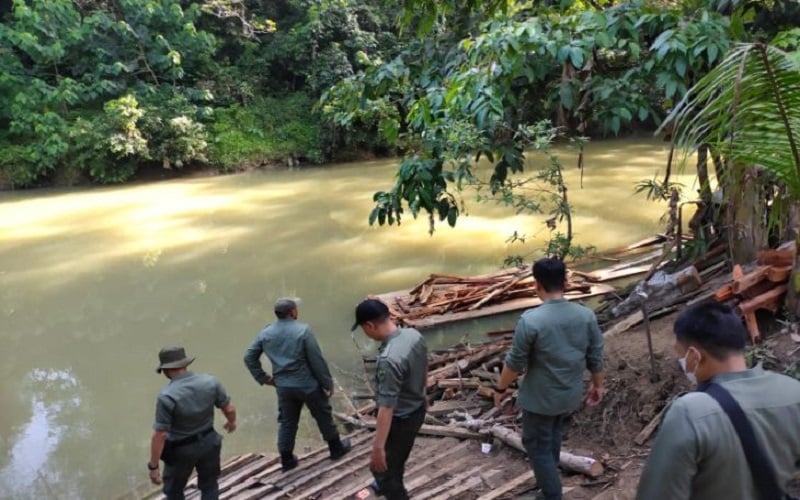 34 Batang Kayu Diduga Hasil Pembalakan Liar Diamankan di Desa Binjai Tabalong