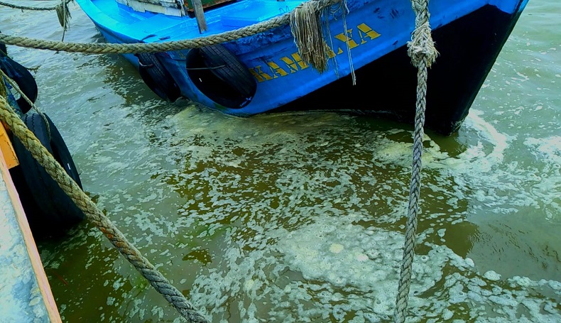 Air Laut Pantai Balongan Indah Indramayu Mendadak Berwarna Hijau dan Berbau Amis