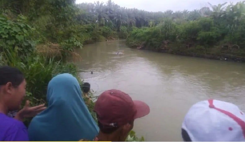 Dua Bocah Hanyut Di Sungai Air Nelas Seluma Ditemukan Meninggal