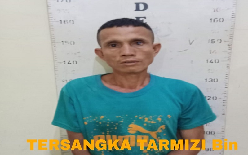 Panen Sawit Milik Perusahaan, Pria Ini Terancam 5 Tahun Penjara