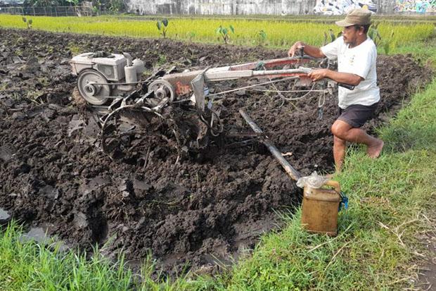 Petani di Sleman Diminta Segera Ajukan Permohonan Pembelian Biosolar dengan Jeriken