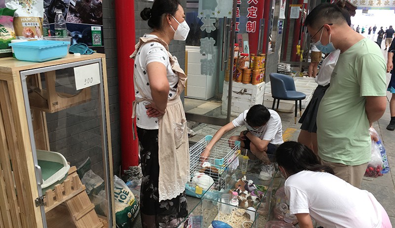 Pemerintah China Keluarkan Peringatan Wabah Cacar Monyet - Bagian 2