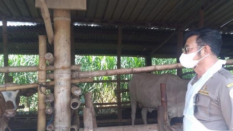 title Menteri Pertanian Pimpin Vaksinasi Perdana PMK di Sukoharjo Menteri Pertanian Pimpin Vaksinasi Perdana PMK di Sukoharjo