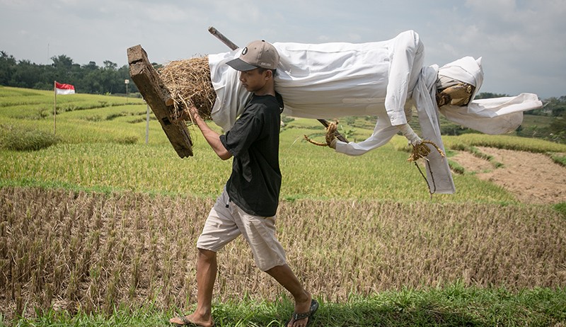 Penampakan Orang-orangan Sawah saat Festival Memedi di Desa Gentungan - Bagian 2