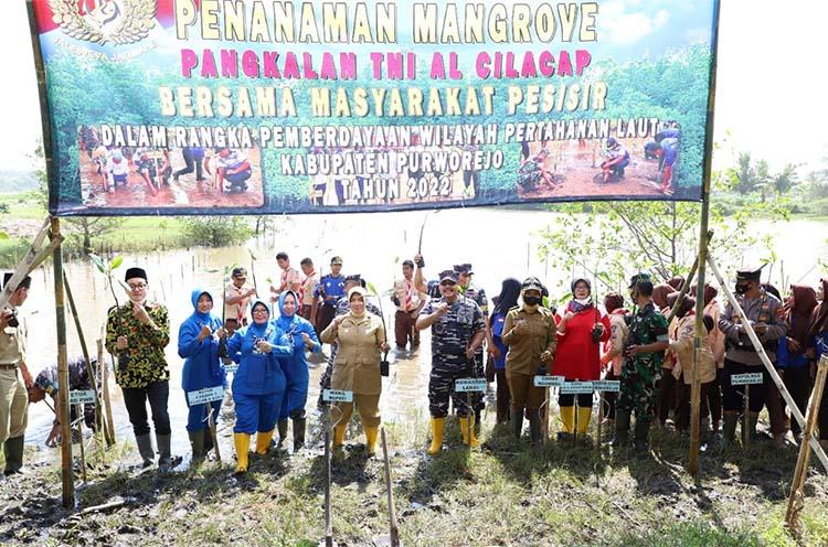 Cegah Abrasi, Pangkalan TNI AL  Cilacap Tanam Mangrove di Pesisir Keburuan Purworejo