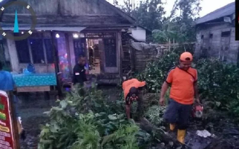 Bencana Angin Puting Beliung di HSS Tewaskan 1 Orang, 11 Rumah Rusak