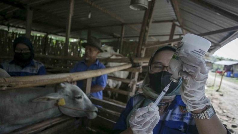 title Pengadaan Vaksin PMK di Malang Diduga Bermasalah, Polisi Periksa Kadis Peternakan Eko Wahyu Widodo Pengadaan Vaksin PMK di Malang Diduga Bermasalah, Polisi Periksa Kadis Peternakan Eko Wahyu Widodo