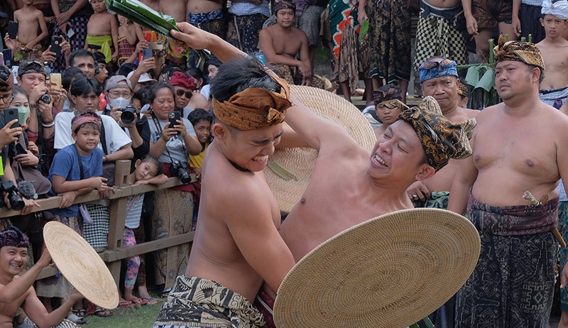Tradisi Mekare, Warga Bali Saling Serang dengan Daun Pandan Berduri - Bagian 2