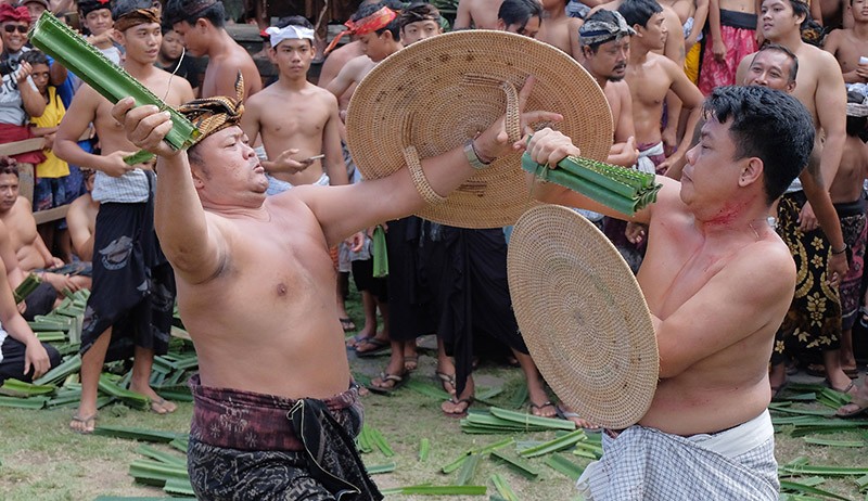 Tradisi Mekare, Warga Bali Saling Serang dengan Daun Pandan Berduri - Bagian 1