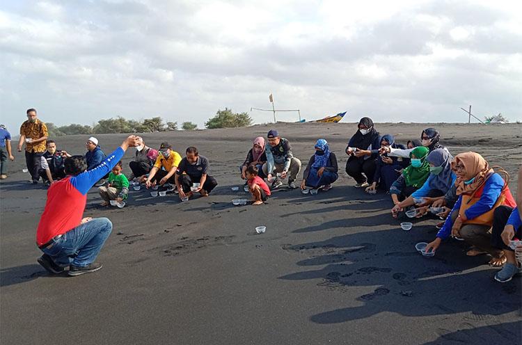 Jaga Segaraku, Dinas Kelautan dan Perikanan Kulonprogo Lepas 144 Tukik di Pantai Bugel