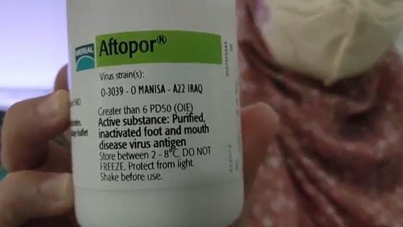Provinsi Jatim Dapat Tambahan 1,2 Juta Dosis Vaksin PMK, Ini Targetnya