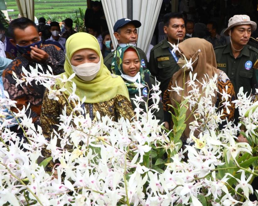 Gubernur Khofifah Sebut Ekspor Anggrek Jatim Terkendala Regulasi Karantina