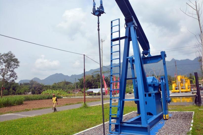 Keliling Desa Wisata Karangrejo, Melihat Kemandirian Pangan dan Energi Pedesaan - Bagian 8