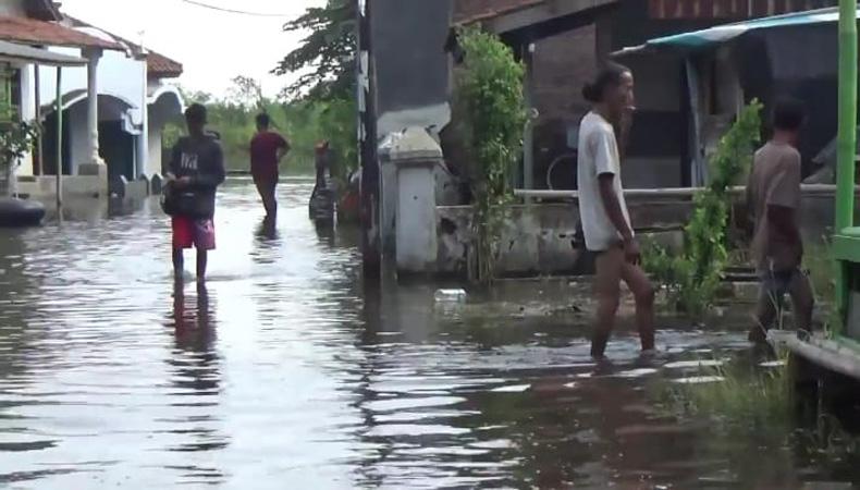 Banjir Masih Rendam Ribuan Rumah 3 Desa di Pekalongan, Aktivitas Warga Terhambat
