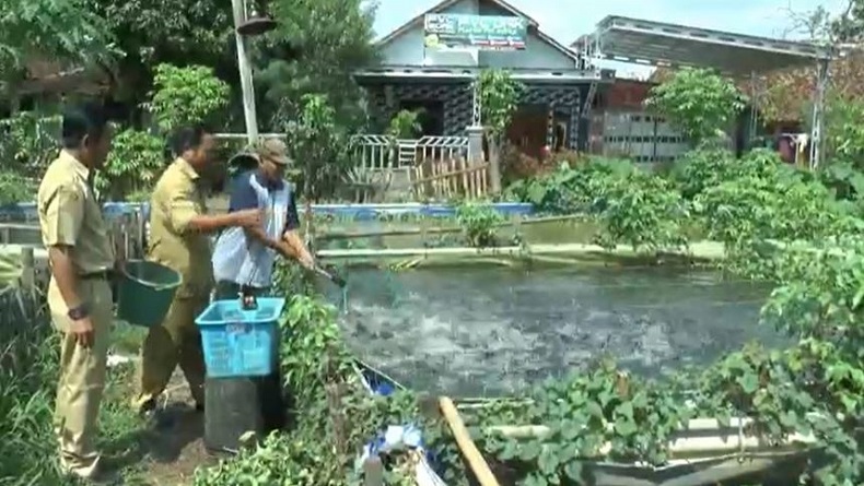 Desa di Kendal Ini Sukses Budi Daya Perikanan Air Tawar, Hasilkan 300 Ton per Tahun