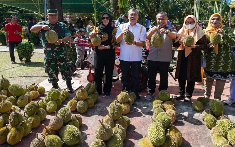 Gebyar Durian Bengkalis, Bayar Rp100.000 Pengunjung Bisa Makan Sepuasnya