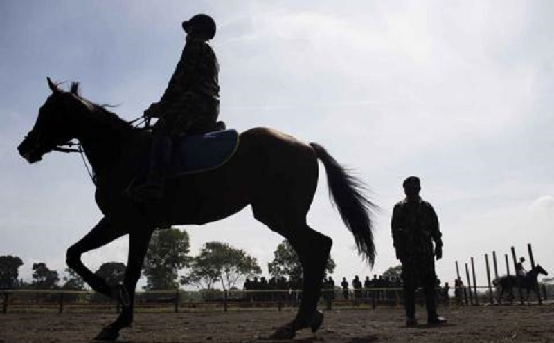 Melihat Kehebatan Detasemen Kavaleri Berkuda TNI AD, Kerap Terjun dalam Operasi-Operasi Penting