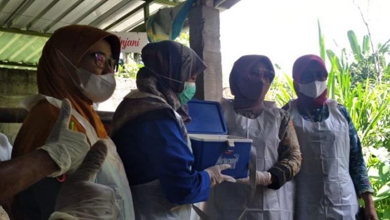 Pasar Hewan di Klaten akan Dibuka Kembali, Ini Tanggalnya