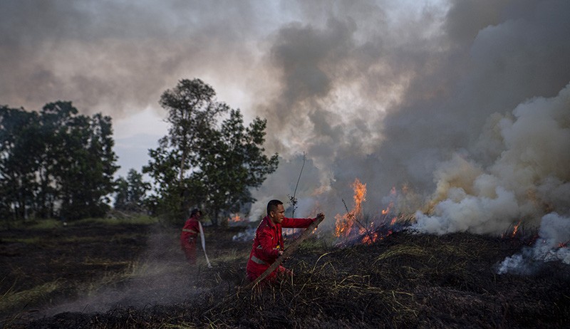Damkar Berjibaku Padamkan Kebakaran Lahan di Desa Sukarame Ogan Ilir - Bagian 2