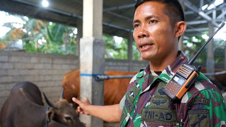 PMK Tidak Pengaruhi Penjualan Sapi Kurban di Gorontalo, Peternak: Permintaan malah Naik