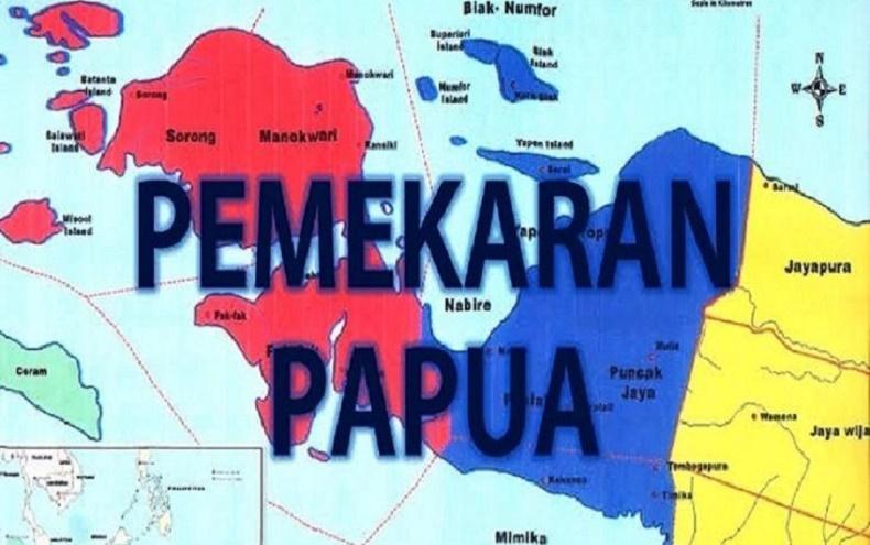 DPR Ungkap Masih Ada Rencana Bentuk 2 Provinsi Baru Papua