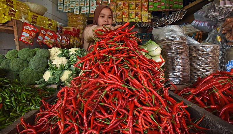 Cabai Merah-Telur Ayam Penyumbang Inflasi Bulan Juni 2022 Sebesar 4,35 Persen - Bagian 1