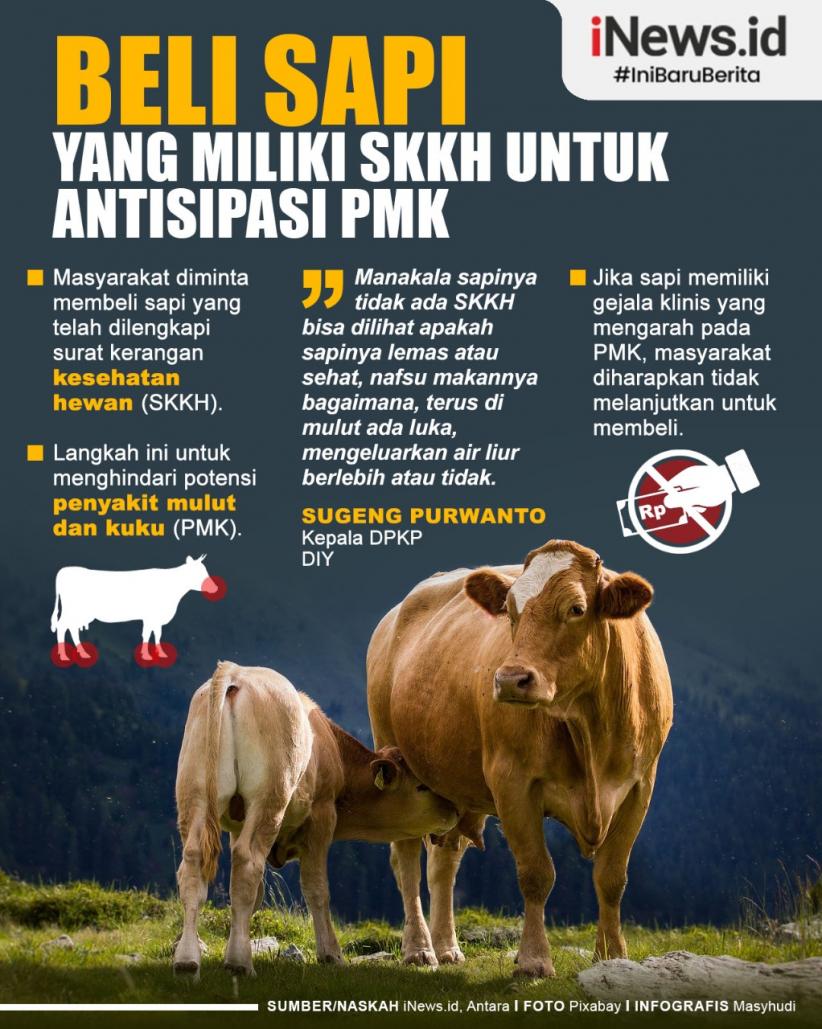  Infografis Warga Diimbau Beli Sapi yang Dilengkapi SKKH