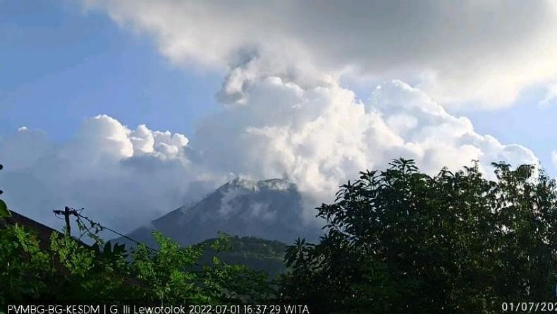Gunung Ile Lewotolok Erupsi Disertai Gemuruh Kuat, Kolom Abu Setinggi 1.300 Meter