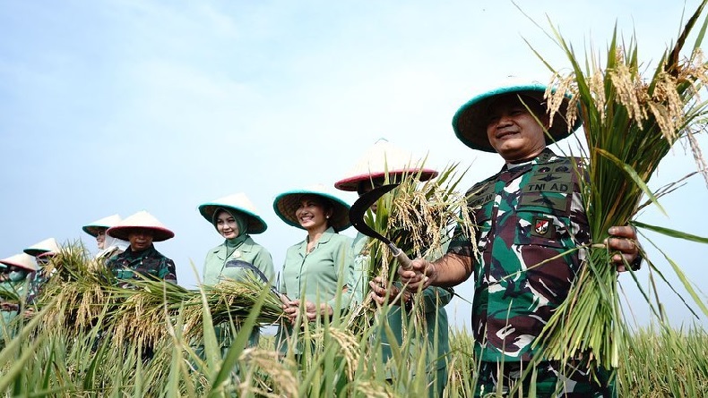 Hadiri Panen Padi di Karawang, KSAD Jenderal Dudung: TNI AD Dukung Ketahanan Pangan 