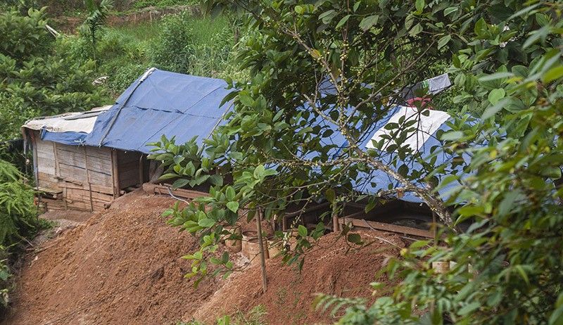 Penampakan Tambang Emas Ilegal di TN Gunung Halimun Salak, Hutan Menjadi Rusak - Bagian 1