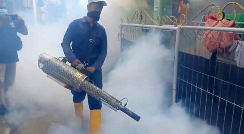 title Gawat, 4 Warga Brebes Meninggal akibat DBD Gawat, 4 Warga Brebes Meninggal akibat DBD