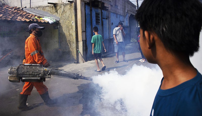 Waspada! Kasus DBD Tembus 52.000 Orang, 448 Pasien Meninggal Dunia - Bagian 2