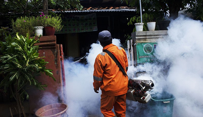 Waspada! Kasus DBD Tembus 52.000 Orang, 448 Pasien Meninggal Dunia - Bagian 3