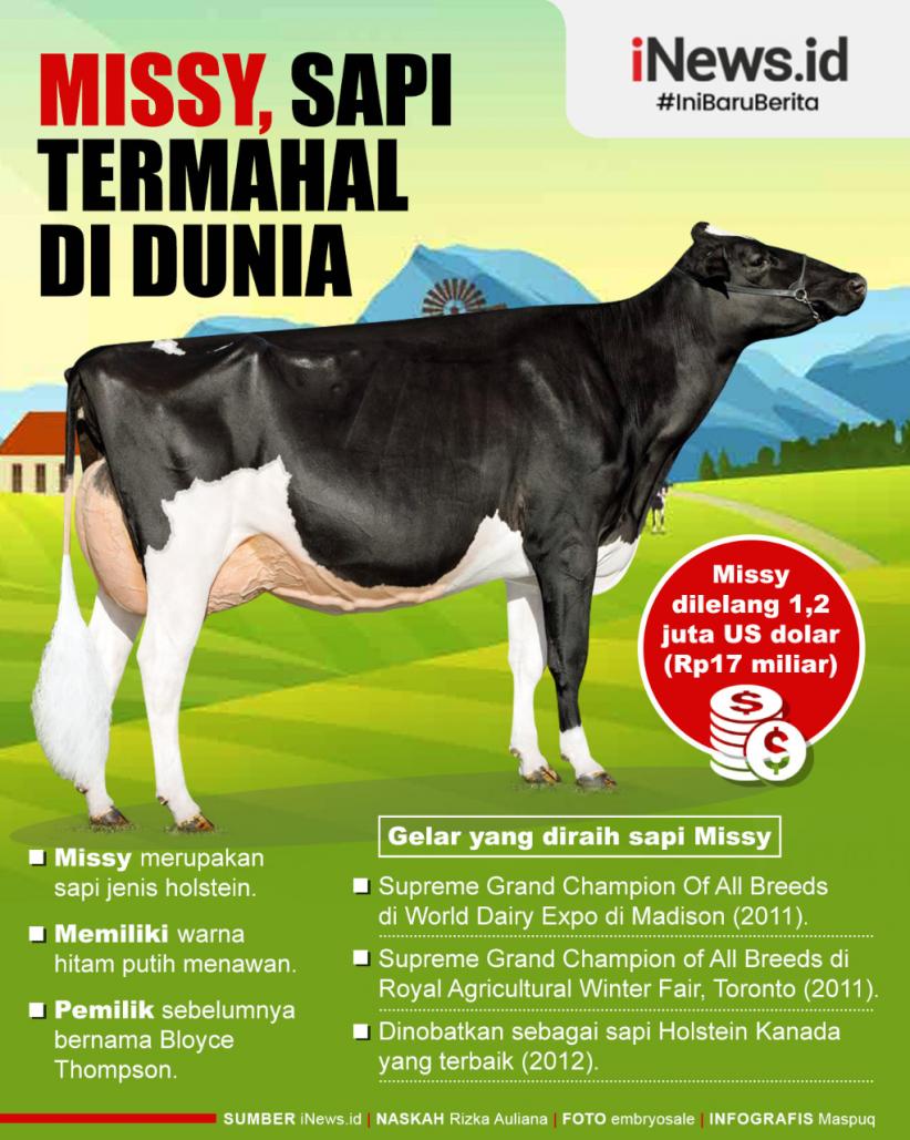 Infografis Sapi Termahal di Dunia