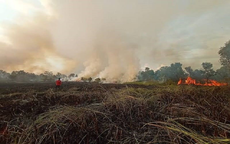 Muba Antisipasi Karhutla dengan Siagakan Posko di 10 Kecamatan 