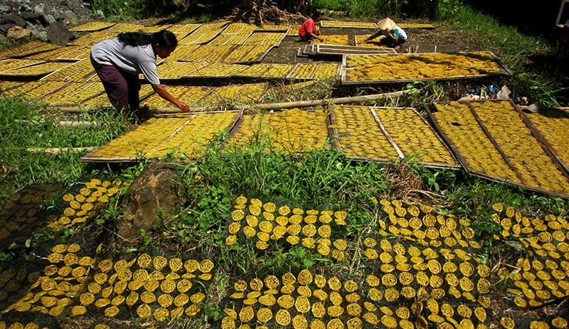 Produksi Kerupuk Mie Terkendala Kenaikan Harga Tepung Tapioka - Bagian 2