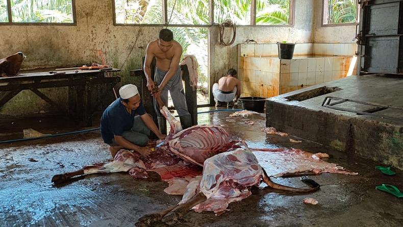Jelang Idul Adha, Kelurahan Koba Bagikan Daging Sapi ke Warga Kurang Mampu