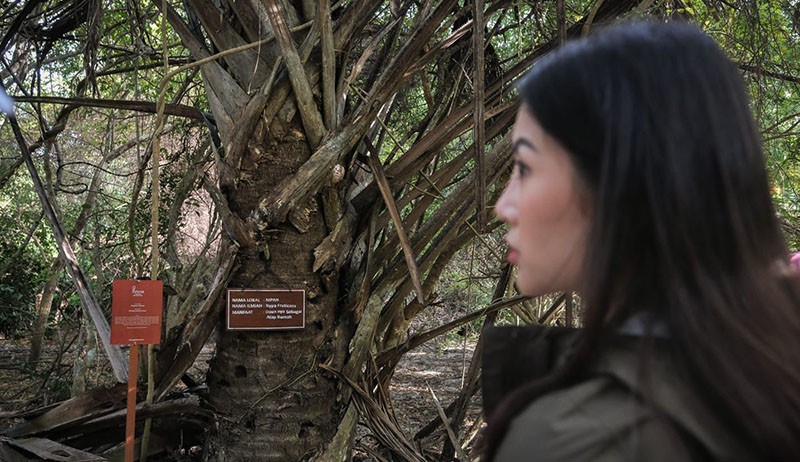 Wamenparekraf Angela Tanoesoedibjo: Kemenparekraf Berkomitmen Ikut Atasi Isu Iklim Melalui Ekowisata - Bagian 3