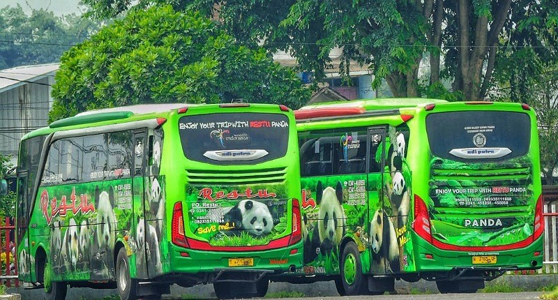 Deretan PO Bus dengan Ciri Khas Gambar Binatang, Salah Satunya Ada yang Dijuluki Siluman 