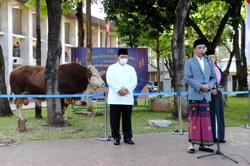 Presiden Jokowi Serahkan Sapi Kurban Seberat 1 Ton ke Masjid Istiqlal - Bagian 2