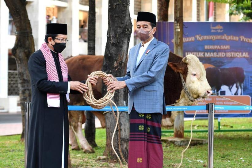 Presiden Jokowi Serahkan Sapi Kurban Seberat 1 Ton Ke Masjid Istiqlal 5919