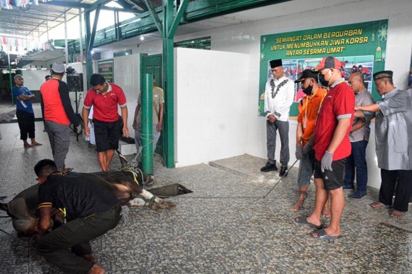  Danrem 172/PWY Serahkan Hewan Kurban di Masjid Ridho Allah  - Bagian 2
