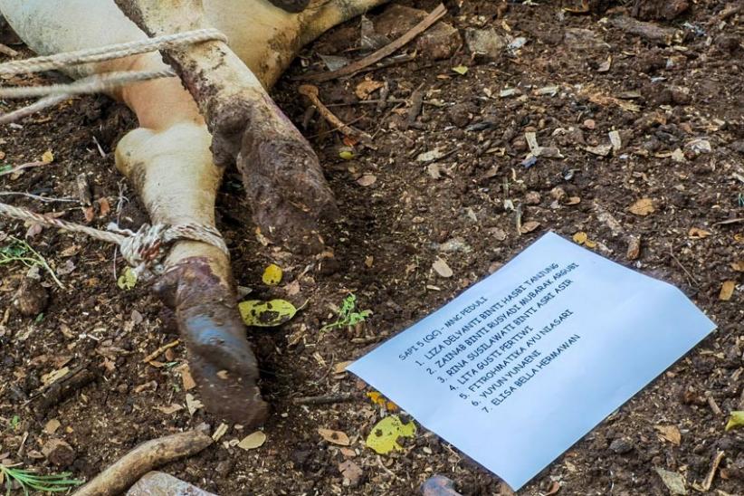 Kolaborasi dengan Partai Perindo, MNC Peduli Salurkan Hewan Kurban kepada Warga Jakarta Barat - Bagian 4