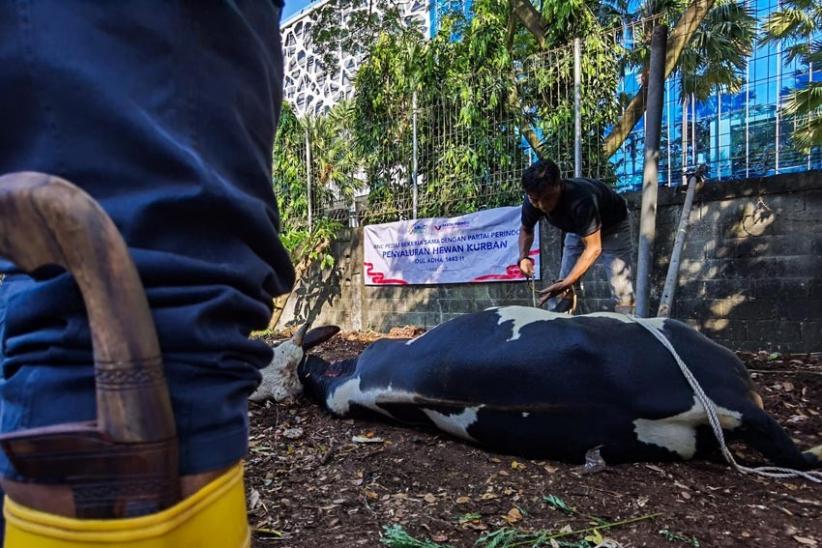 Kolaborasi dengan Partai Perindo, MNC Peduli Salurkan Hewan Kurban kepada Warga Jakarta Barat - Bagian 5
